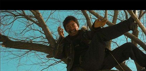 哈喽树先生在线观看,穿越时空的奇幻之旅  第3张