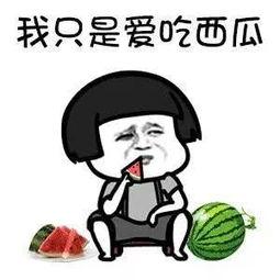 娱乐吃瓜的本质  第1张